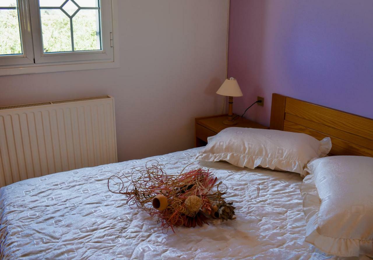 Anemos Holidays House 基普塞利 外观 照片